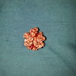 دکتر امیرحسین بشاش