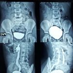 دکتر امیرحسین بشاش