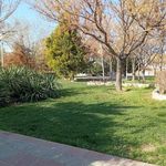 بوستان کویر