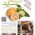 آبلیمو طبیعی سید