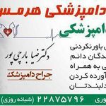 کلینیک دامپزشکی هرمس