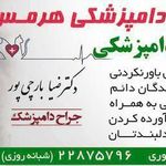 کلینیک دامپزشکی هرمس