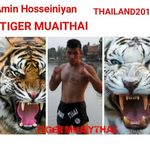 امین حسینیان مربیگری کیک بوکسینگ