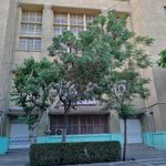 مجتمع تربیتی متقین