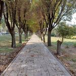 سرویس بهداشتی بوستان شریعتی