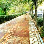 سرویس بهداشتی بوستان شریعتی