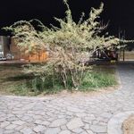 درمانگاه طالقانی