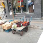 مسکن صالح