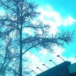 فروشگاه سرویس خواب بالسا چوب