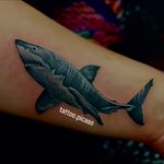 تتوبدن پیکاسو