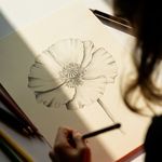کلاس نقاشی،تصویرسازی  سنازینالی