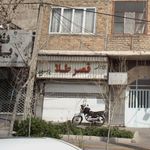 جواهری قصر طلا