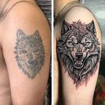 خدمات کاوراپ تتو،تتو