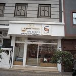 تختخوابشوی سانلی