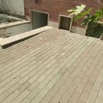 سرویس بهداشتی بوستان باغ نو