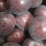 آجیل و خشکبار مرتضوی