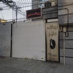 پیرایش ماندگار