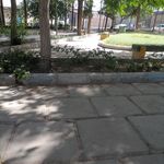 پارک سعید درویش زاده