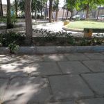 پارک سعید درویش زاده