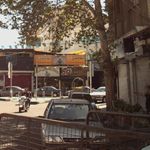 عطاری کاکتوس