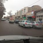 قنادی شاخه نبات