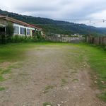 کافه رستوران لبخند