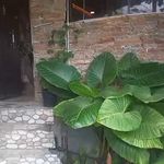 کافه رستوران لبخند