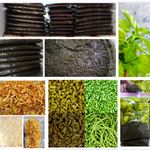 سبزی قرمه سرخ شده خانگی باارسال رایگان