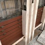 عباس محمودصالحی