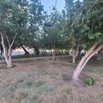فضای سبز