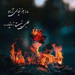 مجتمع تجاری قصر