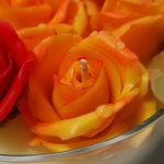 تولیدکننده شمع های دکوراتیو پروانه