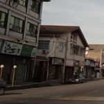 زیتون سرا دهکده سبز