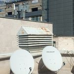 امیر تجن پور