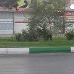 اگزوز سازی