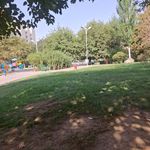 بوستان امام علی