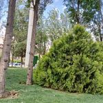 بوستان سپیده
