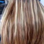 اکستنشن ونوس