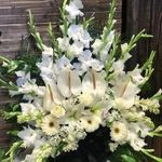 گلفروشی سی تو (ارسال رایگان)