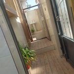 سوئیت چارک ناصری