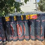 مهدی باقری