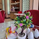 رستوران نمونه