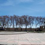 بوستان ستاره