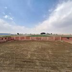 باشگاه اسب سواری نیاوران