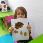 مهدکودک دو زبانه و پیش دبستانی آرین 2