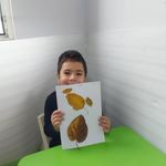 مهدکودک دو زبانه و پیش دبستانی آرین 2