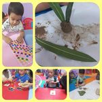 مهدکودک دو زبانه و پیش دبستانی آرین 2