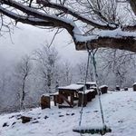 کلبه کوهستانی مش صفر