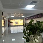 باشگاه ورزشی تربیت