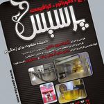 دکوراسیون پرسیس